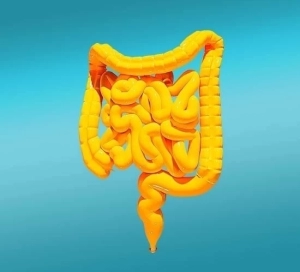Olix 95% (Xilooligossacarídeos)