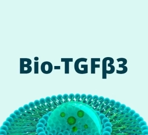 Fator de Crescimento Bio-TGFβ3